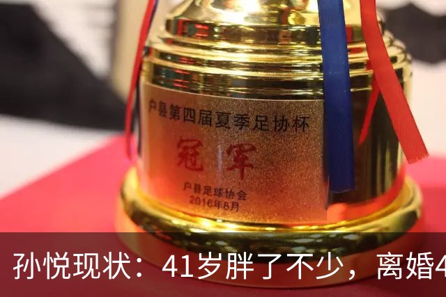 孙悦现状：41岁胖了不少，离婚4年还是单身，一双儿女越长越像他